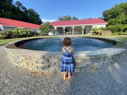 Molly Robertson - 3 Kid Museum Pond